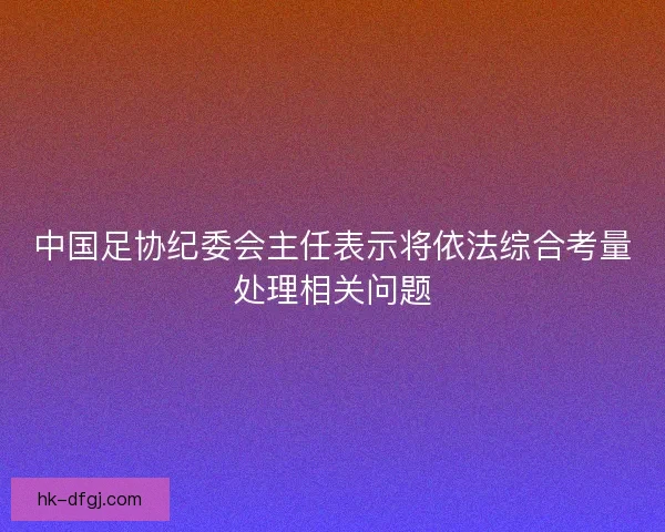 中国足协纪委会主任表示将依法综合考量处理相关问题